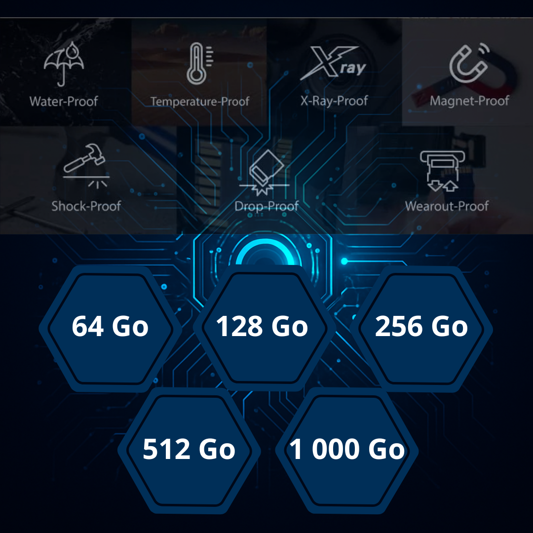 Carte Micro SD 64Go Haute Endurance
